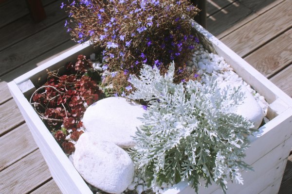 Зеркало кракен kr2web in