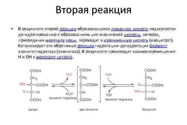 Зайти кракен через тор